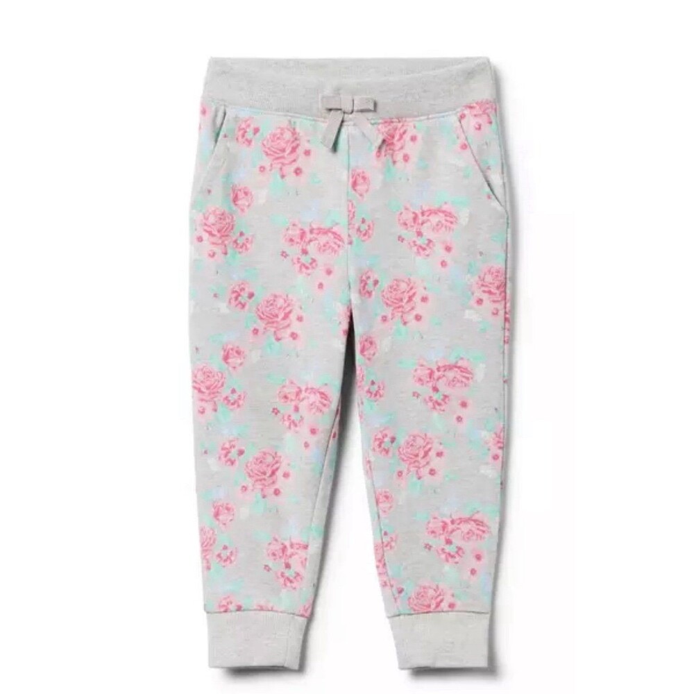 Janie and jack floral jogger sweatpants gray and pink 2T NWT